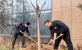 【利豪娱乐使命】济南利豪娱乐投资控股集团： 弘扬志愿服务，，，，，齐建绿色城市   